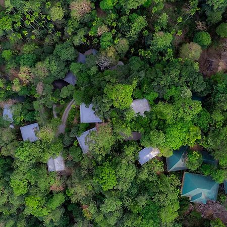 The Hive, Wayanad Hotel Kültér fotó