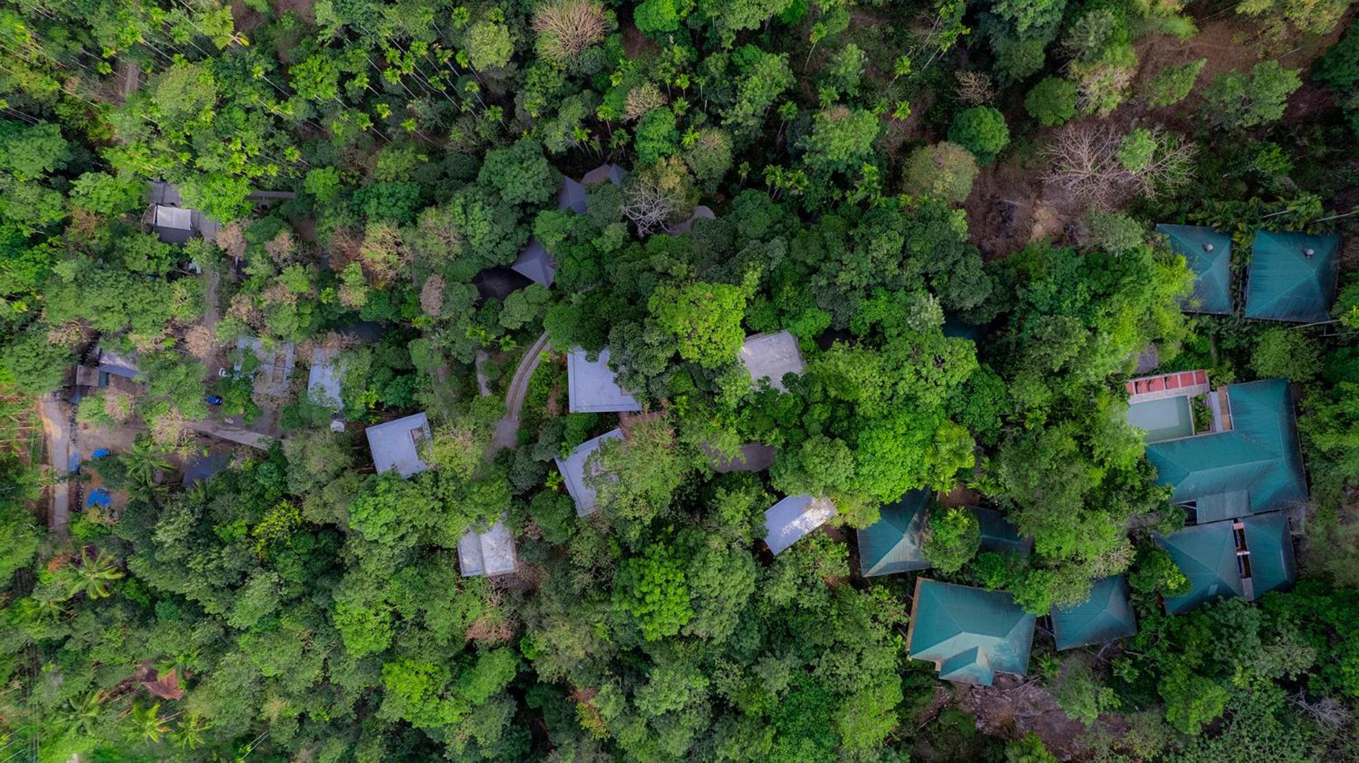The Hive, Wayanad Hotel Kültér fotó