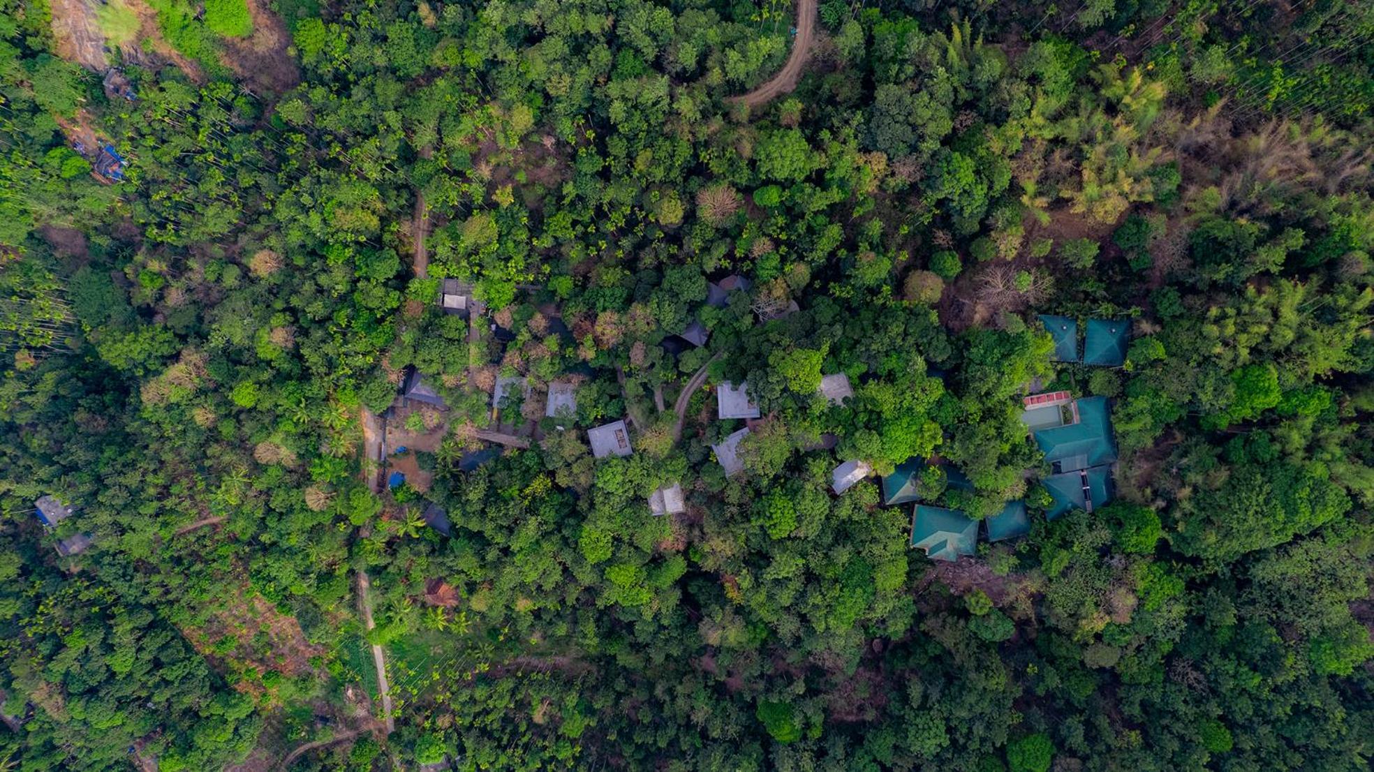 The Hive, Wayanad Hotel Kültér fotó