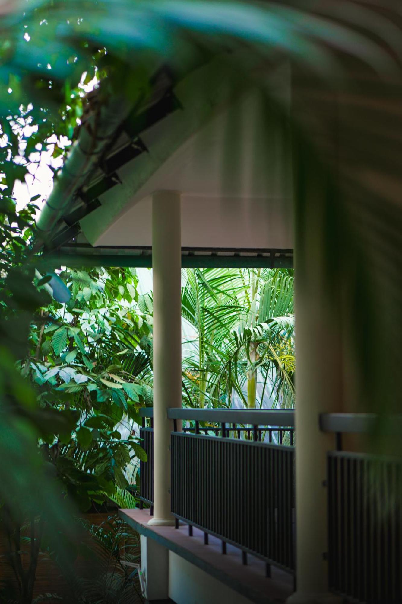 The Hive, Wayanad Hotel Kültér fotó