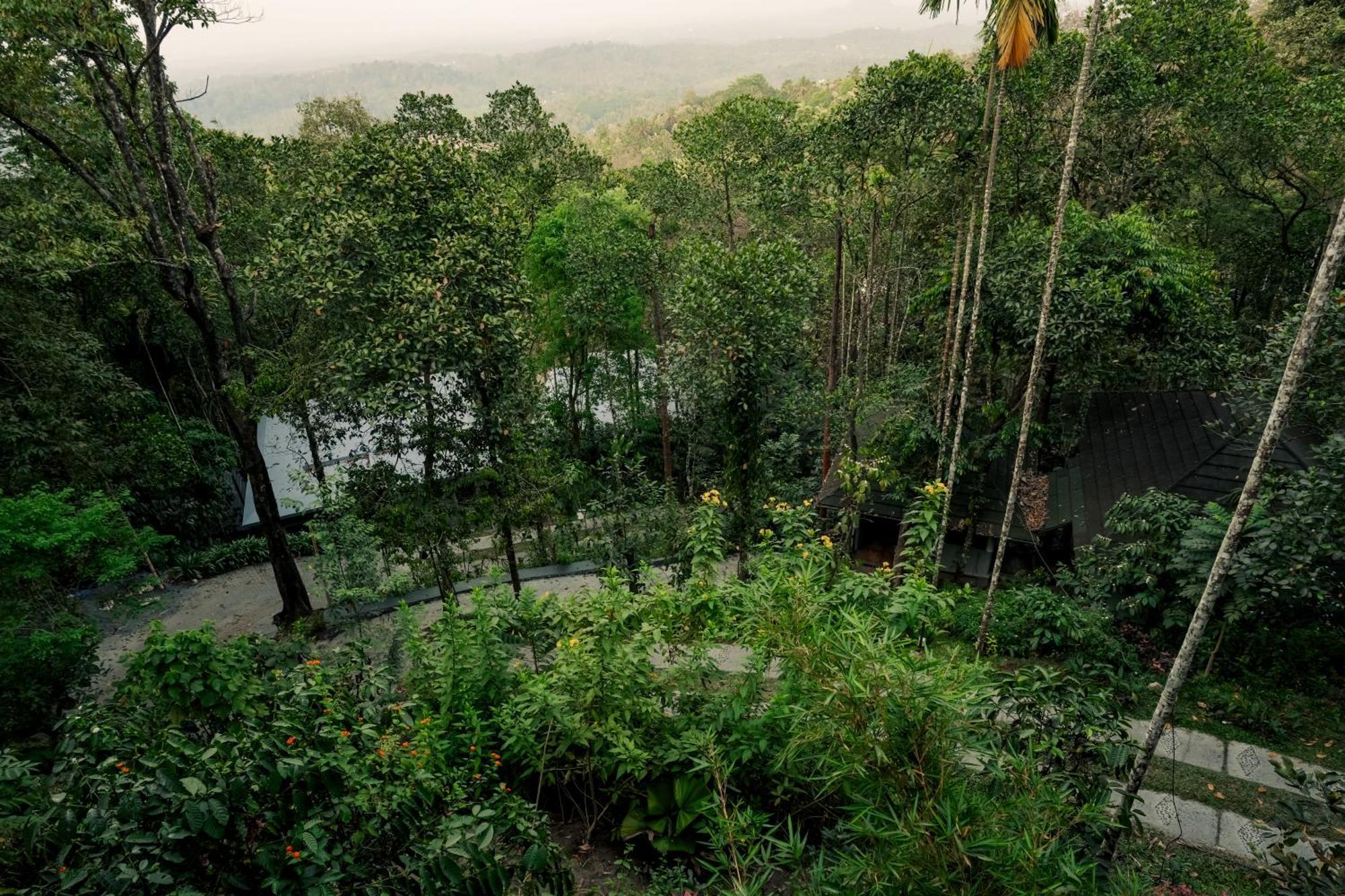 The Hive, Wayanad Hotel Kültér fotó