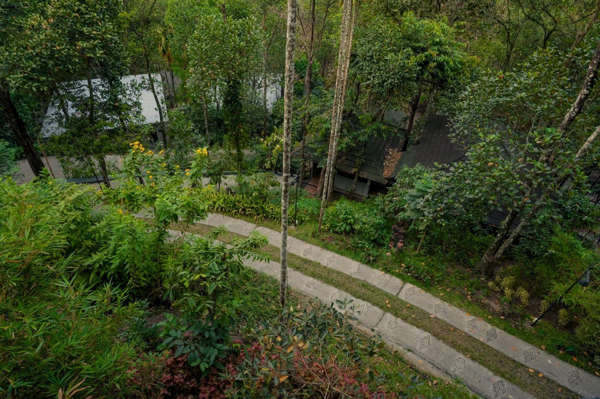 The Hive, Wayanad Hotel Kültér fotó