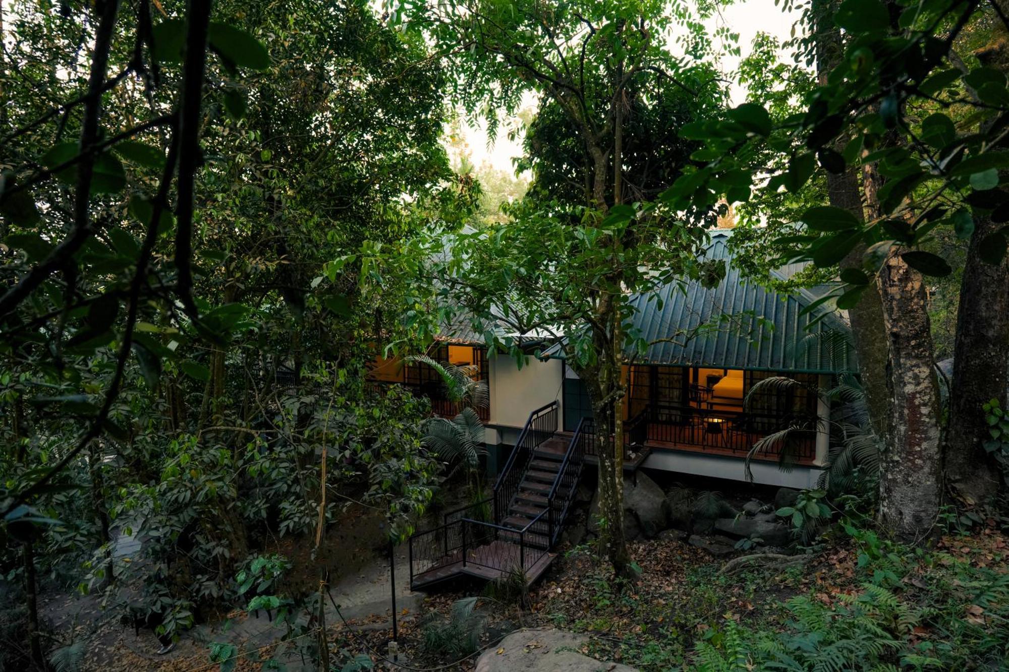 The Hive, Wayanad Hotel Kültér fotó