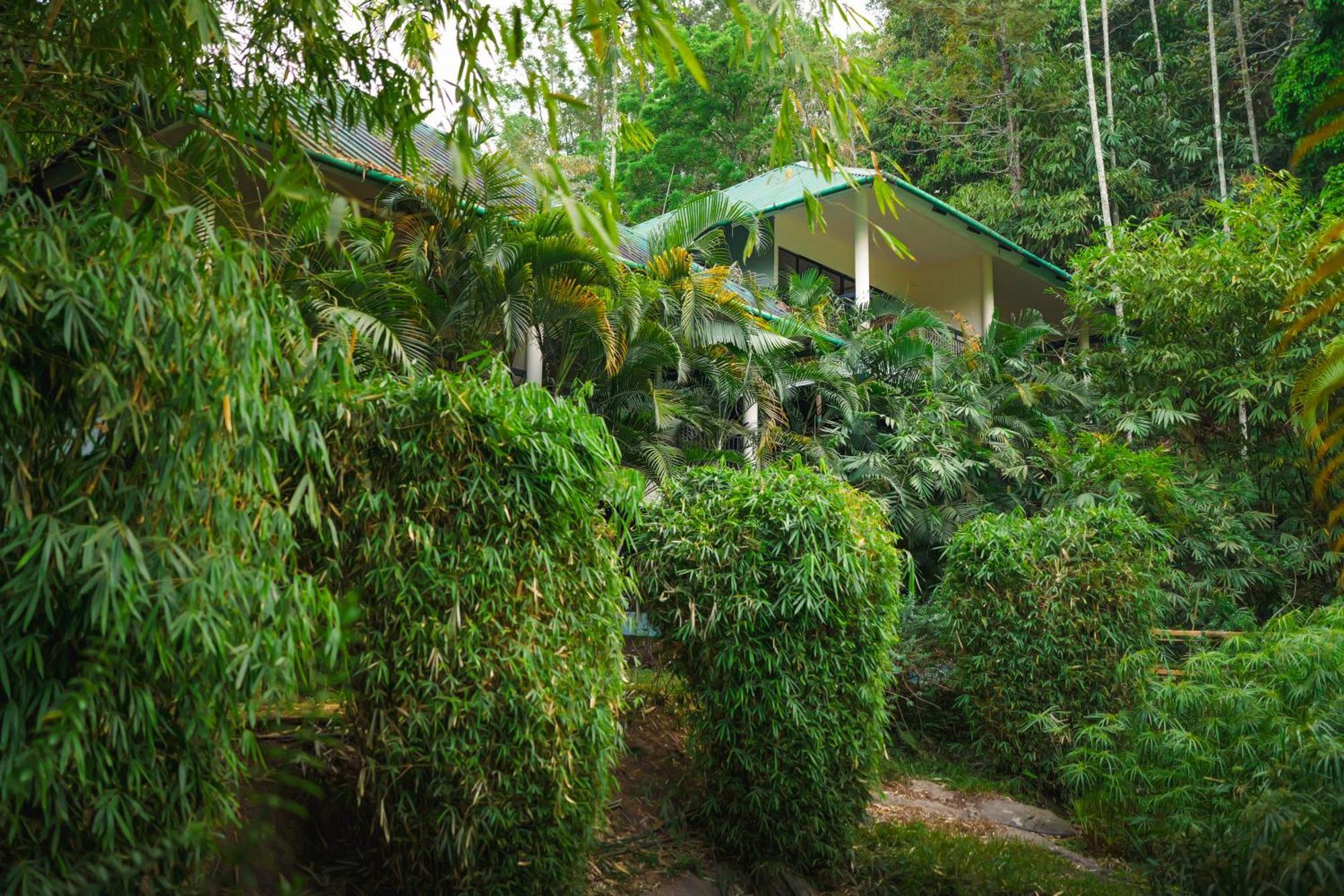 The Hive, Wayanad Hotel Kültér fotó